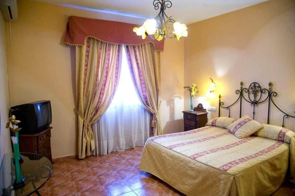 Guest room and interior view 1